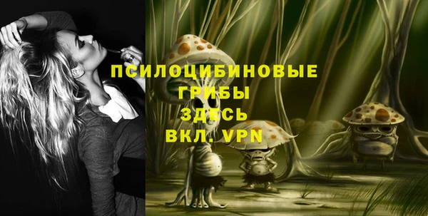 тгк Алексин