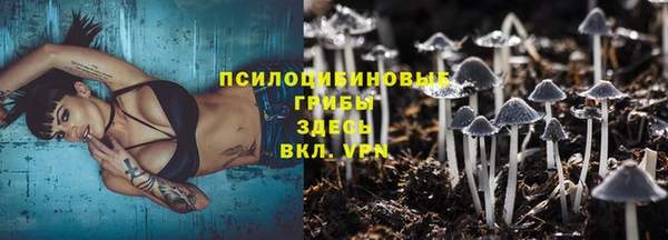 амф Алексеевка