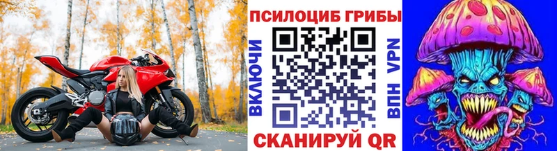 мориарти клад  Уссурийск  Галлюциногенные грибы Psilocybe 