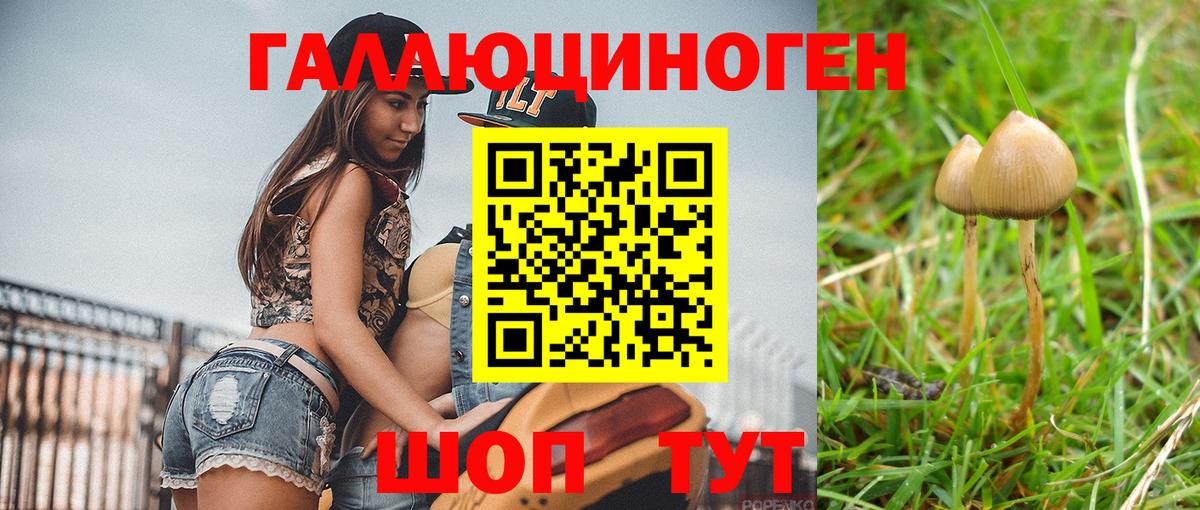 Уссурийск  Галлюциногенные грибы MAGIC MUSHROOMS  Вход с VPN  Галлюциногенные грибы Psilocybe 